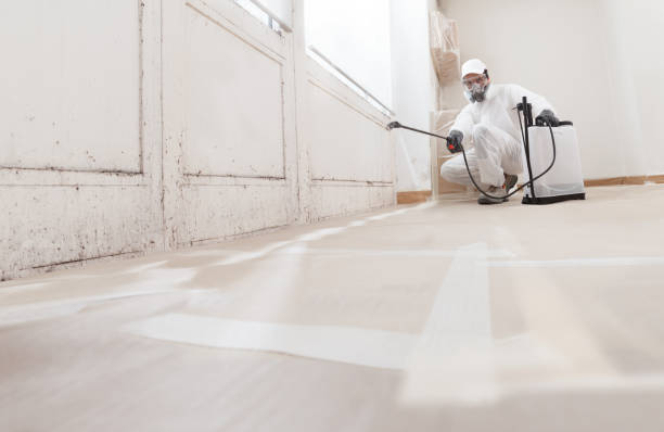 24/7 Emergency Mold Cleanup experts in Fremont, MI