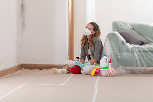 Reliable Mold Cleanup contractor in Fremont, MI by Cheap Mold Removal